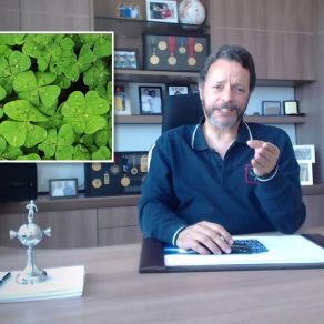 Aproveitar as Oportunidades da Vida