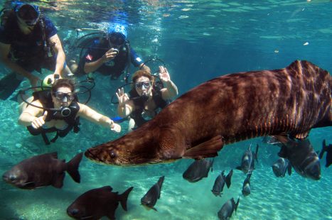 Mergulho em companhia dos peixes no Lago do Rio Quente